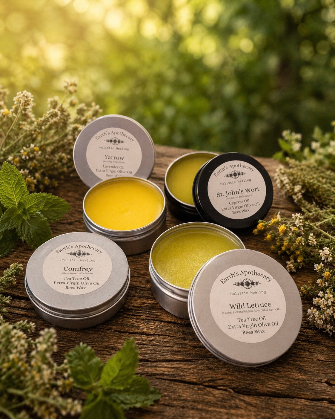 Herbal Salves