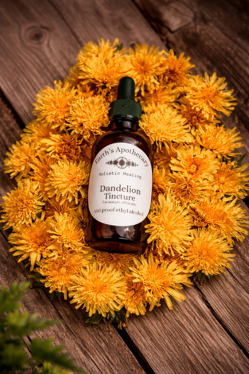 Bottle of dandelion tincture surrounded by fresh dandelions on a wooden surface