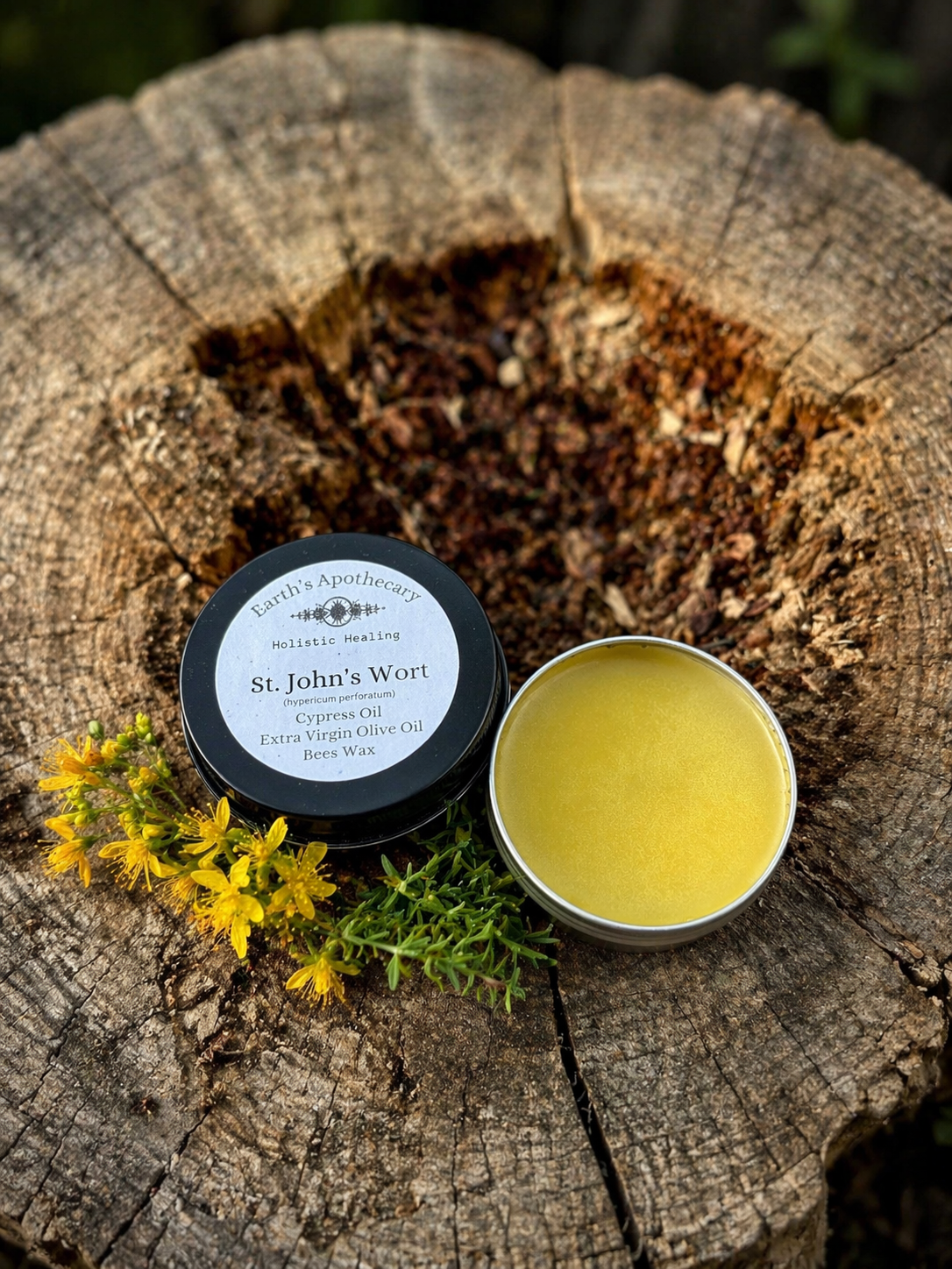 Open 2oz tin of St. John's Wort balm on a wooden surface with a small container and yellow flowers.