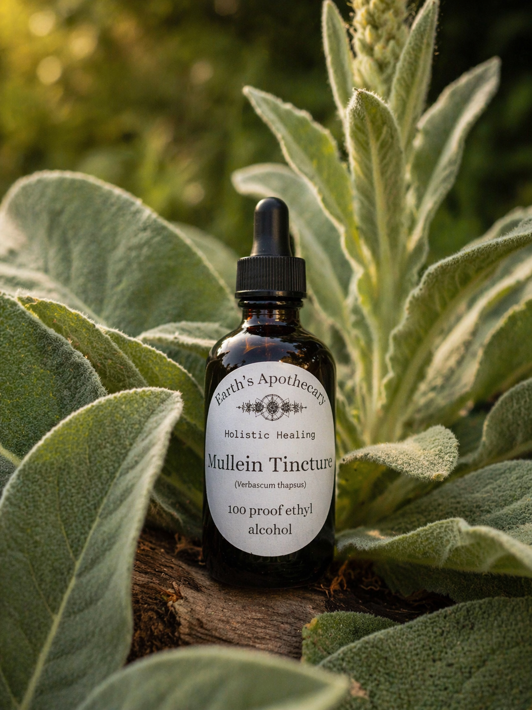 Bottle of Mullein Tincture from Earth's Apothecary among green foliage